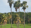 Crandon Park Golf Course