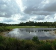 Venetian Bay Golf Club - 12th hole