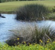 Raptor Bay Golf Club - birds