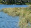 Raptor Bay Golf Club - hole 8