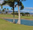 Hawaii Prince Golf Club - trees