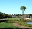 Tiburon Golf Club - Gold Course - 12th