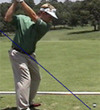 David Toms swing