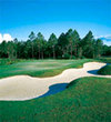 Shell Landing Golf Course