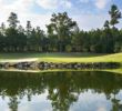 Ballantyne Hotel & Lodge golf course
