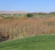 Genoa Lakes Golf Club - Forced Marsh
