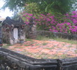 Viet Nam - overview