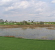 The Legacy course - No. 15