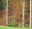 Coastal Pines Golf Club - Fall Colors