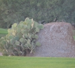 Boulders Resort - Bunker