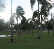The Blue Monster at Doral