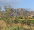 Sanctuary Golf Course - Desert