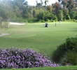 No.1 at Diamondback Golf Club