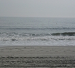 Myrtle Beach - Golf