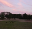 Belmont Golf Course - Richmond, Virginia - 1949 PGA Championship host - ducks dusk