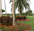 Biltmore golf course