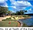 Teeth of the Dog