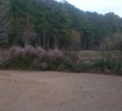 Blackmoor Golf Course - Myrtle Beach - No. 1