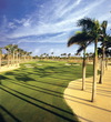 Great White at Doral Resort