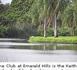 Emerald Hills