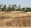 from the rough
