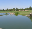 Raven at South Mountain - No. 18