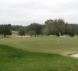 The greens at Seminole