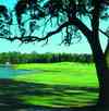 Blackmoor Course