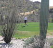 Starr Pass C.C. - Coyote golf course - cactus