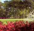 Sunkist Country Club - Greens