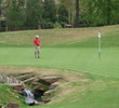 Chateau Elan's Woodlands course - greens