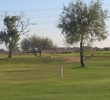 Cypress Golf Course  - Trees