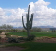 Saguaro Course at We-Ko-Pa - Hulking Cactus