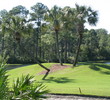 Hombre Golf Club - Palm Trees