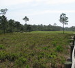 Hombre Golf Club - Wetlands
