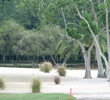 Coquina-shell bunkers at Ridgewood Lakes