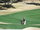 Omni Tucson National's Catalina Course