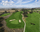 Eagle Vines Vineyards & Golf Club - No. 1