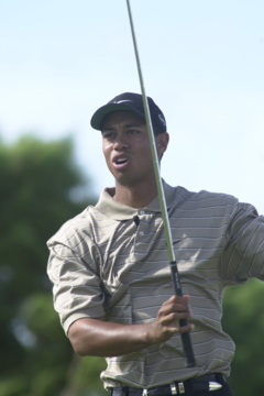 By skipping The Barclays, Tiger Woods makes it clear that golf fans can skip the FedEx Cup.
