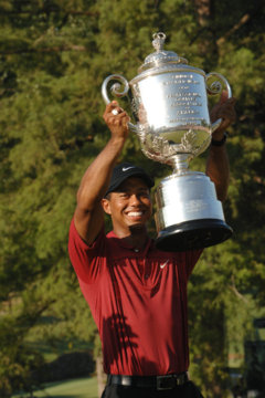 Turns out the FedEx Cup is just something else for Tiger Woods to win.