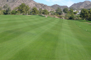Tilted fairways are part of the game on the Arizona Biltmore Links Course.