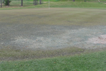 Most of the greens at Gleannloch were scorched, with either sickly gray or black chunks that putted as ugly as they look.