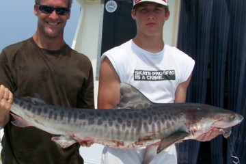 Just your average golf souvenir - a tiger shark in your hands.