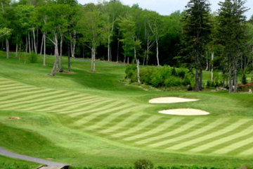 Watch out for the many bunkers at Glen Arbour.