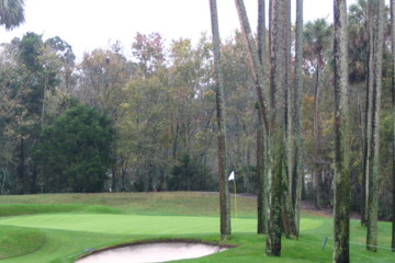 The TPC Stadium course will close temporarily after the 2006 Players Championship.