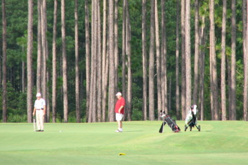 The Lakes Golf Course at Laura Walker State Park is in a state park and plays through the Georgia woods, mainly pines. 