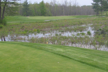 You'll be shooting over plenty of marshlands at Roger Rulewich's 143-slope-rated Saratoga National.