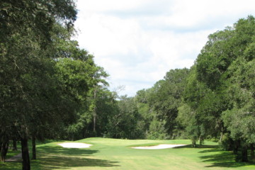 Okefenokee Country Club's 14th hole is a tight par 3.