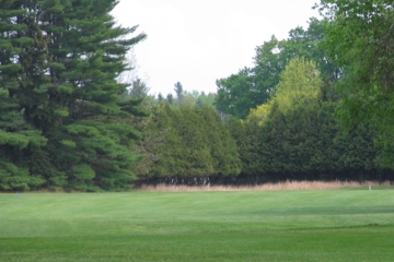 Saratoga Spa's first hole takes a sharp dogleg turn at the tall brown grass.