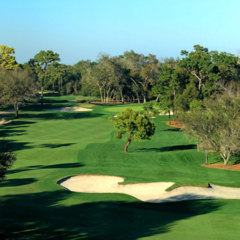 Dramatic elevation changes greet you at the No. 1 tee box at Innisbrook Resort's Copperhead course.